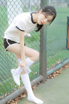 辛特尔
